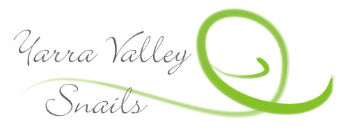 Yarra Valley Snails